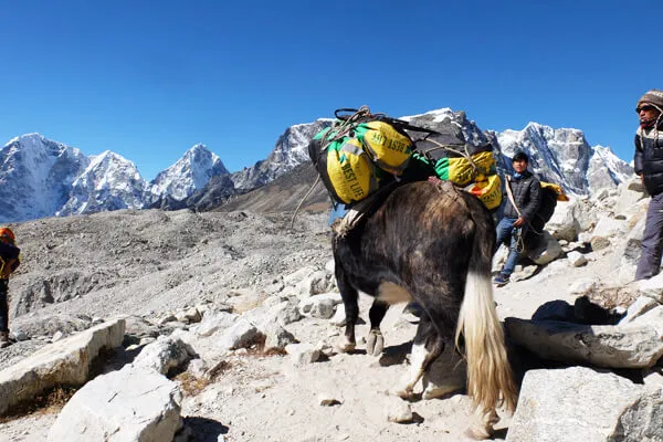 Everest Base Camp Trek Cost