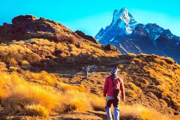 Mardi Himal Trek in Nepal