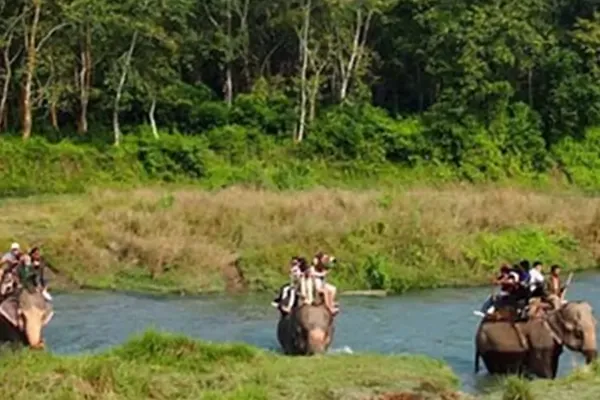 Jungle Safari in Nepal