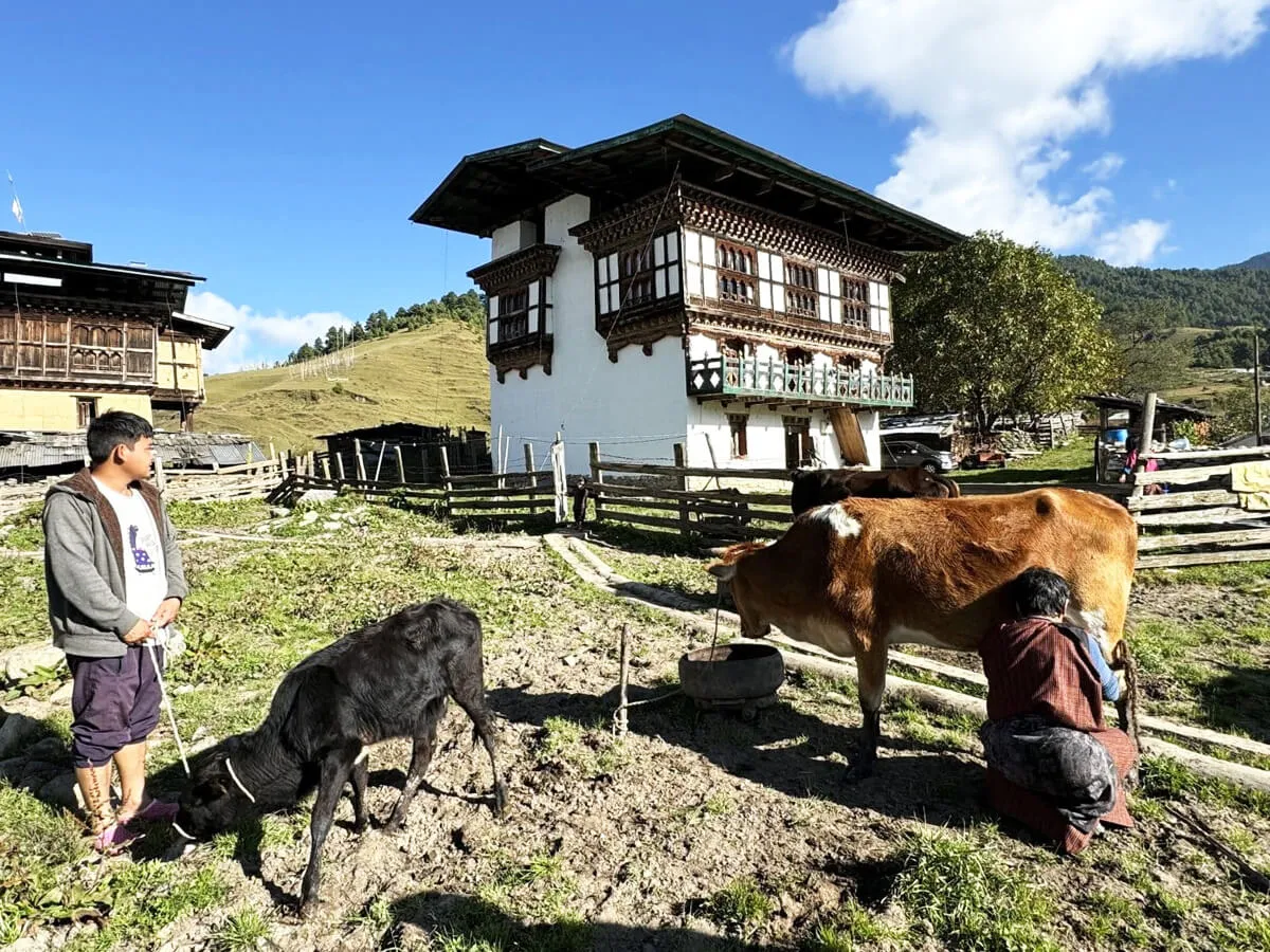 Bhutan tour 3 nights 4 days