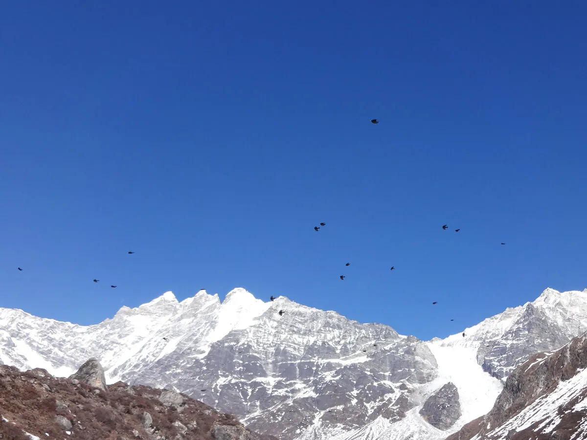 Helambu Trek