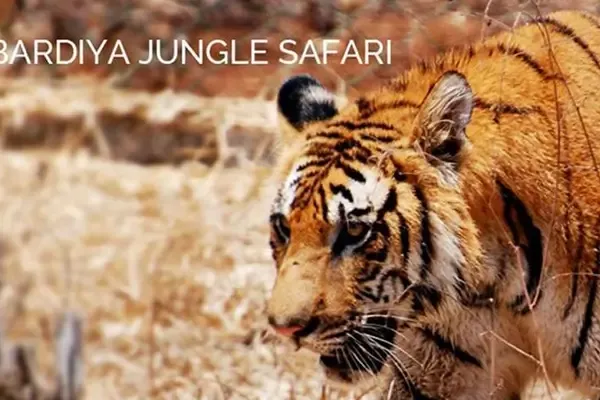 Bardia National Park Jungle Safari