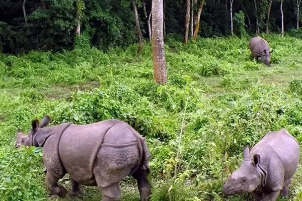 Bardia National Park