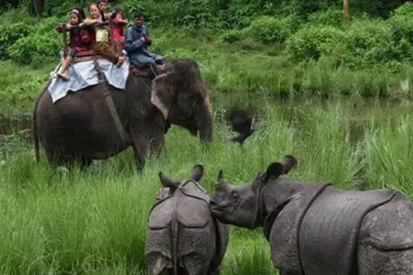 Chitwan Jungle Safari