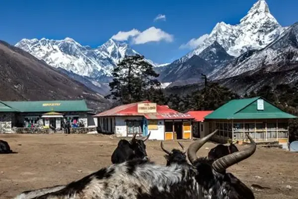 Everest View Trek