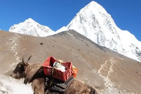 Everest Three Passes Trek