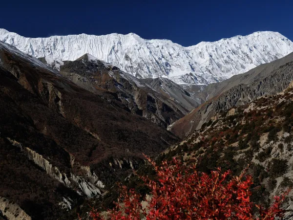 Annapurna Range From Manang