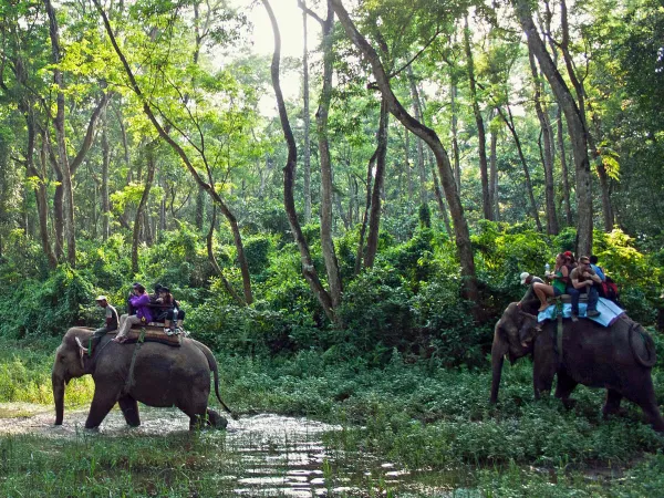 Bardia Jungle Safari Cost