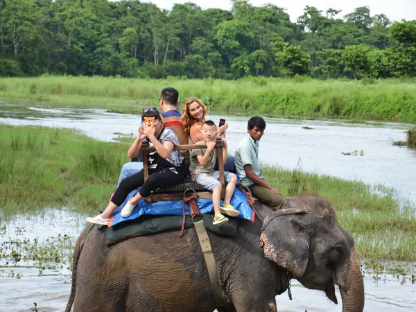 Elephant Jungle Safari 2