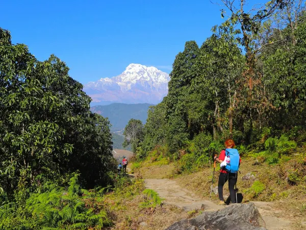 Panchase Trekking 1