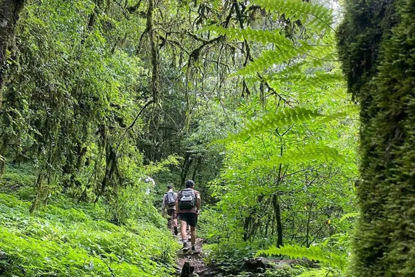 Shivapuri Hiking