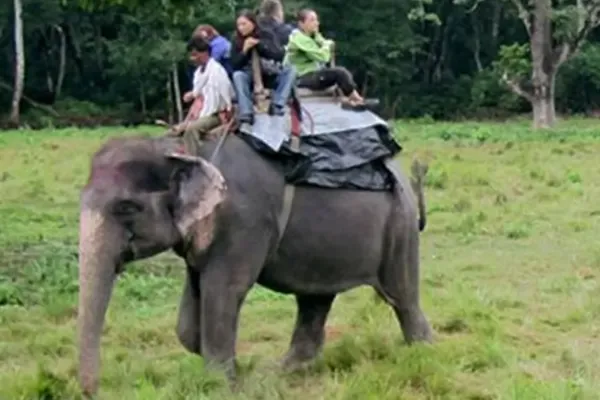 Kathmandu Chitwan Pokhara Tour